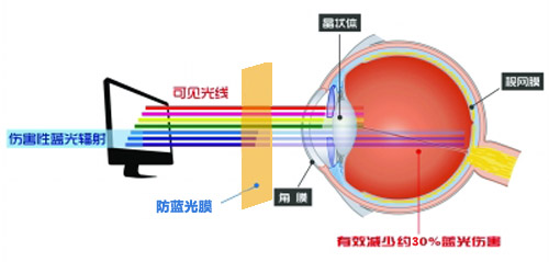 香蕉视频黄在线观看最新科技成果 香蕉视频色版成护眼利器 香蕉视频黄在线观看最新科技成果 香蕉视频色版成护眼利器